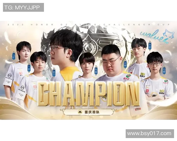 重庆排球队总决赛之路：拼搏与荣耀交织的奋斗历程回顾